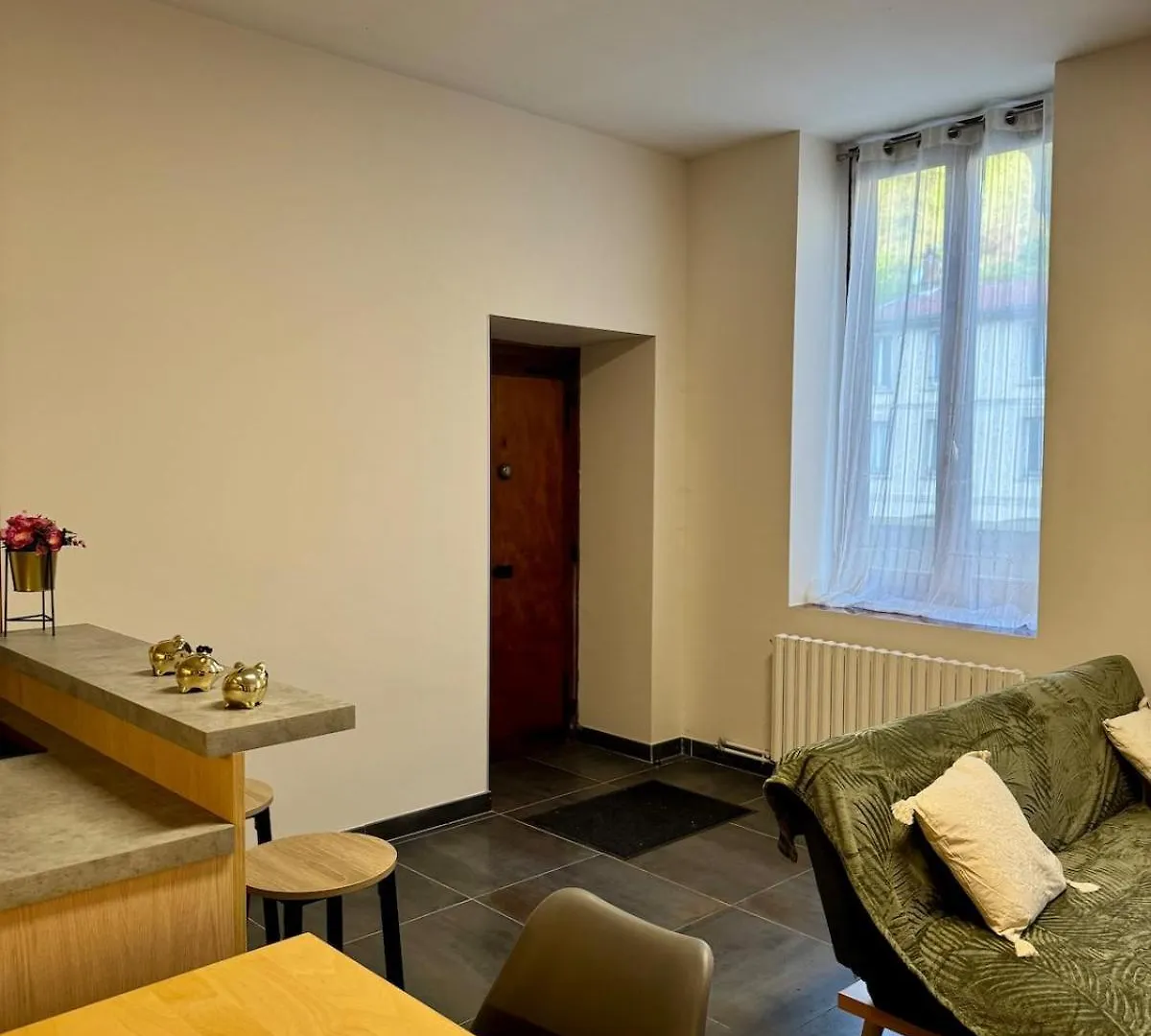 Apartment Appartement A Vienne France