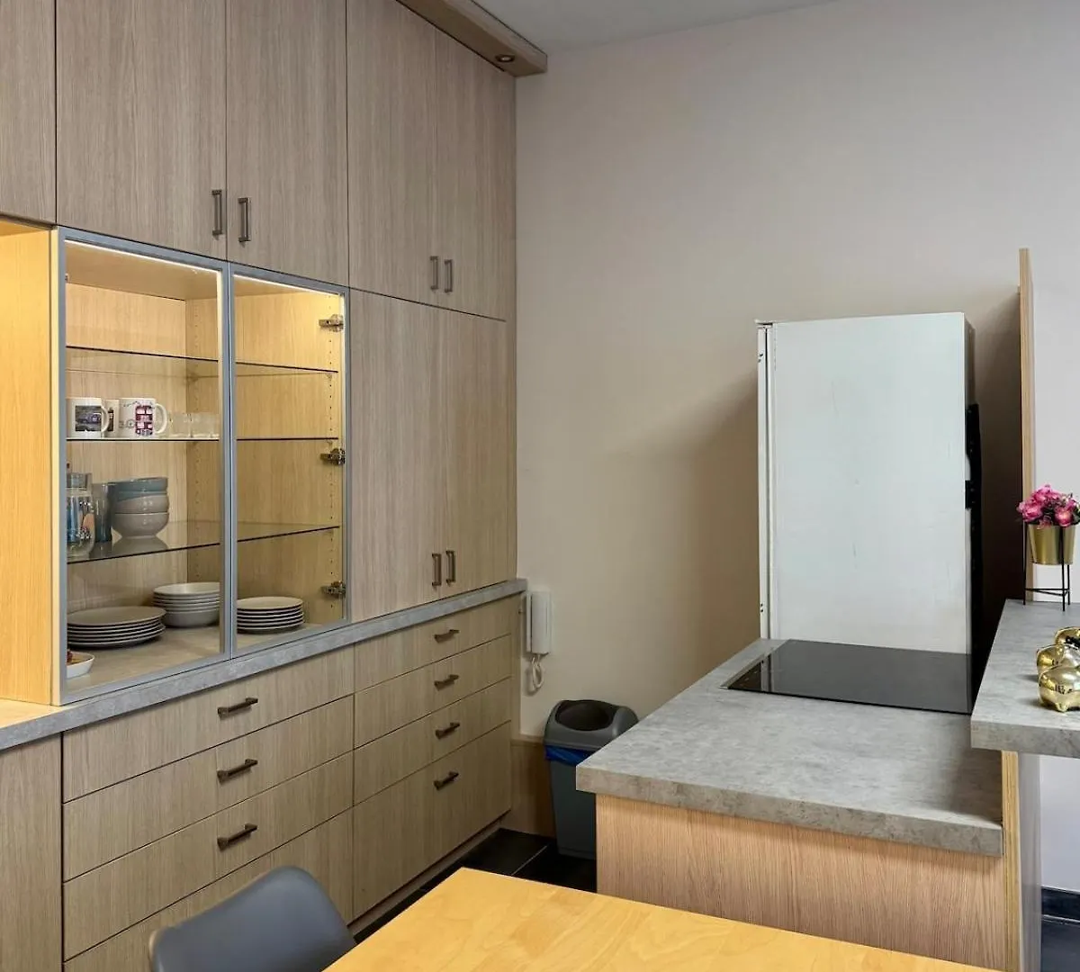 Apartment Appartement A Vienne